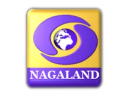 logo of channel dd nagaland