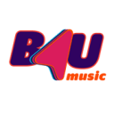 logo of channel b4u music